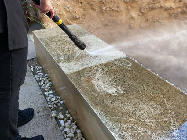 Best Local Pressure Washing Services  in Artesia, NM