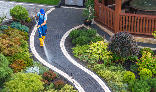 Best Local Pressure Washing Services  in Artesia, NM